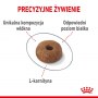 Royal Canin Light Weight Care karma sucha dla kotów dorosłych, utrzymanie prawidłowej masy ciała 10kg - 6