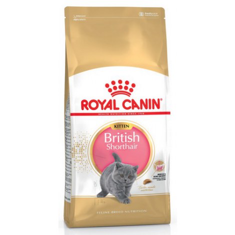 Royal Canin British Shorthair Kitten karma sucha dla kociąt, do 12 miesiąca, rasy brytyjski krótkowłosy 400g - 2