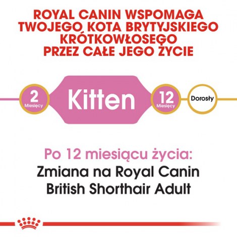 Royal Canin British Shorthair Kitten karma sucha dla kociąt, do 12 miesiąca, rasy brytyjski krótkowłosy 400g - 4