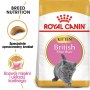 Royal Canin British Shorthair Kitten karma sucha dla kociąt, do 12 miesiąca, rasy brytyjski krótkowłosy 400g - 2