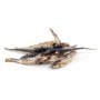 Bult Szprotki suszone 150g - 3