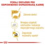Royal Canin Maltese Adult karma sucha dla psów dorosłych rasy maltańczyk 1,5kg - 6