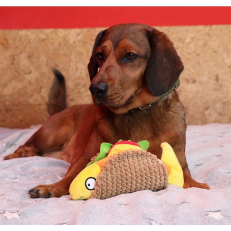 Dingo Zabawka dla psa - Taco 20cm - 2