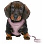Trixie Szelki ze smyczą Junior 26-34cm liliowe [15564] - 3