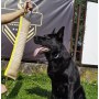 Dingo Zabawka dla psa - Szarpak z juty z dwoma uchwytami Extra Mocny 60/8cm - 5