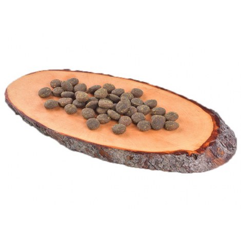 Carnilove Dog True Fresh Fish Adult - ryba 4kg - 2