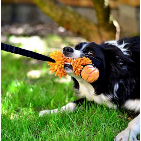 Dingo Zabawka dla psa - Szarpak Mop Bungee z piłką pomarańczowy - 4