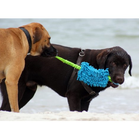 Dingo Zabawka dla psa - Szarpak Mop Bungee z piłką niebieski - 4