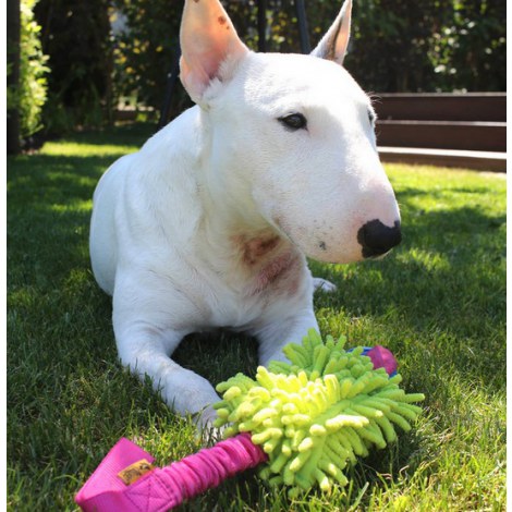 Dingo Zabawka dla psa - Szarpak Mop Bungee z piłką różowy - 4