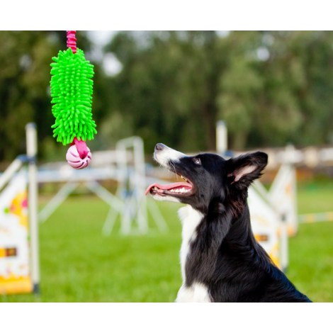 Dingo Zabawka dla psa - Szarpak Mop Bungee z piłką zielony - 4