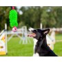 Dingo Zabawka dla psa - Szarpak Mop Bungee z piłką zielony - 5