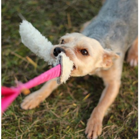 Dingo Zabawka dla psa - Szarpak Wełna owcza z rączką bungee różowy - 3