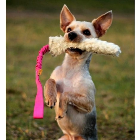 Dingo Zabawka dla psa - Szarpak Wełna owcza z rączką bungee różowy - 2