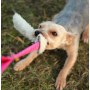 Dingo Zabawka dla psa - Szarpak Wełna owcza z rączką bungee różowy - 4