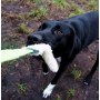 Dingo Zabawka dla psa - Szarpak Wełna owcza z rączką bungee zielony - 4