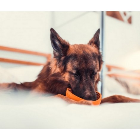 LickiMat Wobble Miska głęboka Jeżyk miękka pomarańczowa - 6