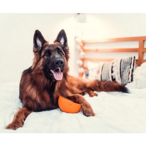 LickiMat Wobble Miska głęboka Jeżyk miękka pomarańczowa - 5