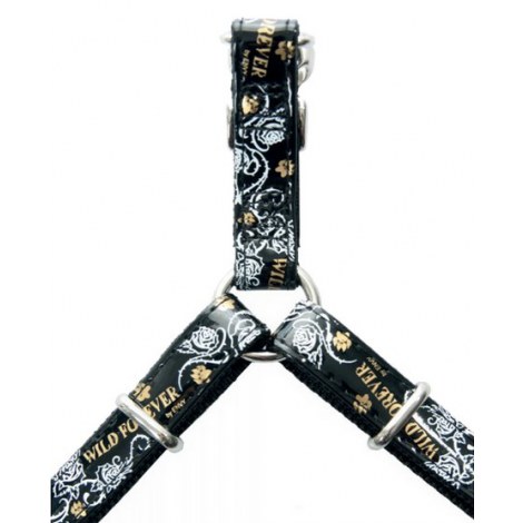 Zolux Szelki Envy Forever regulowane 10mm czarne [466220NO]