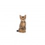 Royal Canin Kitten Sterilised karma sucha dla kociąt od 4 do 12 miesiąca życia, sterylizowanych 2kg - 6