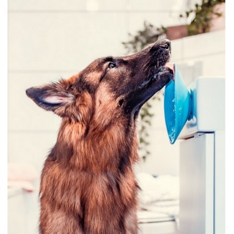 LickiMat Splash miska z przyssawką turkusowa - 7