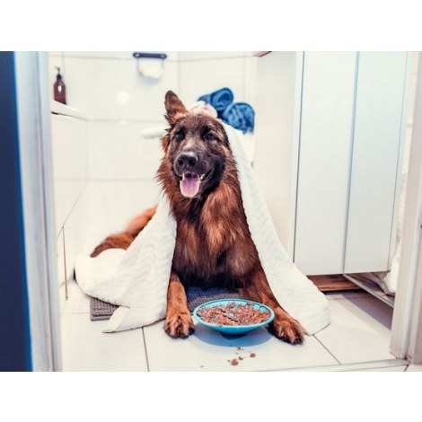 LickiMat Splash miska z przyssawką turkusowa - 5