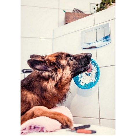 LickiMat Splash miska z przyssawką turkusowa - 8
