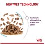 Royal Canin Sensory Feel w sosie karma mokra dla kotów dorosłych saszetka 85g - 4
