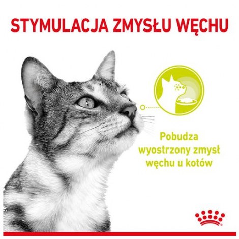 Royal Canin Sensory Smell w sosie karma mokra dla kotów dorosłych saszetka 85g - 2