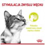 Royal Canin Sensory Smell w sosie karma mokra dla kotów dorosłych saszetka 85g - 3