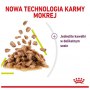 Royal Canin Sensory Smell w sosie karma mokra dla kotów dorosłych saszetka 85g - 4
