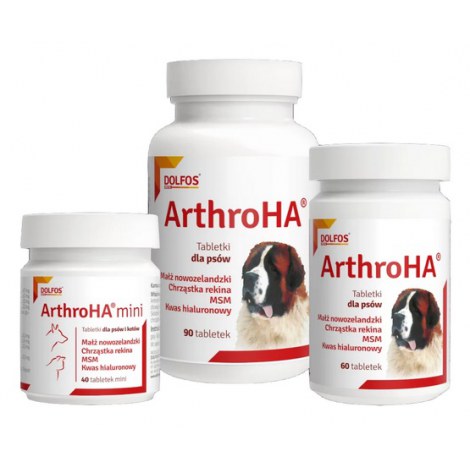 Arthro HA 60 tabletek - 2