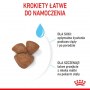 Royal Canin Mini Starter Mother&Babydog karma sucha dla szczeniąt do 2 miesiąca i suk karmiących ras małych 8kg - 5