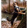 Dingo Szelki bezuciskowe Dynamic L czarne - 5