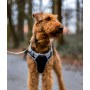 Dingo Szelki bezuciskowe Dynamic L czarne - 4