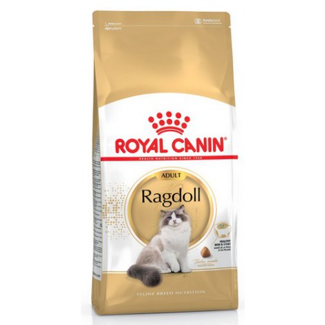 Royal Canin Ragdoll Adult karma sucha dla kotów dorosłych rasy ragdoll 400g - 2