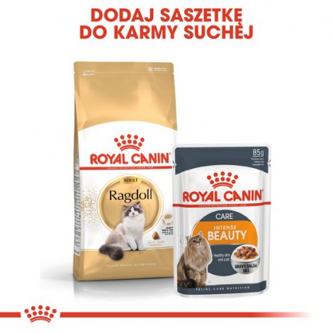 Royal Canin Ragdoll Adult karma sucha dla kotów dorosłych rasy ragdoll 400g - 5