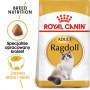 Royal Canin Ragdoll Adult karma sucha dla kotów dorosłych rasy ragdoll 400g - 2