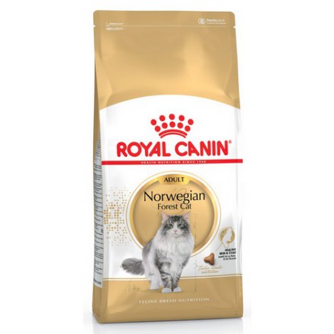 Royal Canin Norvegian Forest Cat Adult karma sucha dla kotów dorosłych rasy norweski leśny 400g - 2