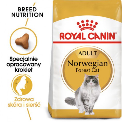 Royal Canin Norvegian Forest Cat Adult karma sucha dla kotów dorosłych rasy norweski leśny 400g