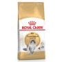 Royal Canin Norvegian Forest Cat Adult karma sucha dla kotów dorosłych rasy norweski leśny 400g - 3