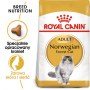 Royal Canin Norvegian Forest Cat Adult karma sucha dla kotów dorosłych rasy norweski leśny 400g - 2