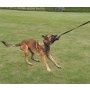 Dingo Zabawka dla psa - Sztuczne Futro z rączką bungee 150cn - 5