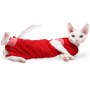Grande Finale Koszulka pooperacyjna dla kota czerwona 25cm [WET1/KOT] - 2