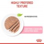 Royal Canin Mother & Babycat Mousse karma mokra - mus dla kociąt i kotek karmiących puszka 195g - 3