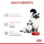 Royal Canin Mother & Babycat Mousse karma mokra - mus dla kociąt i kotek karmiących puszka 195g - 4
