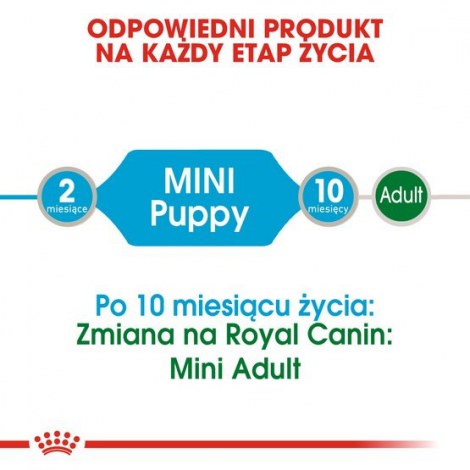 Royal Canin Mini Puppy karma mokra w sosie dla szczeniąt, od 2 do 10 miesiąca życia, ras małych saszetki 4x85g - 3