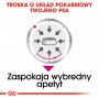 Royal Canin Exigent karma mokra dla wybrednych psów dorosłych, wszystkich ras, pasztet saszetka 85g - 4