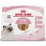 Royal Canin Feline Kitten Multipack karma mokra dla kociąt do 12 miesiąca życia saszetki 4x85g - 2