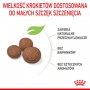 Royal Canin Medium Puppy karma sucha dla szczeniąt, od 2 do 12 miesiąca, ras średnich 15kg - 5