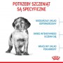 Royal Canin Medium Puppy karma sucha dla szczeniąt, od 2 do 12 miesiąca, ras średnich 15kg - 3